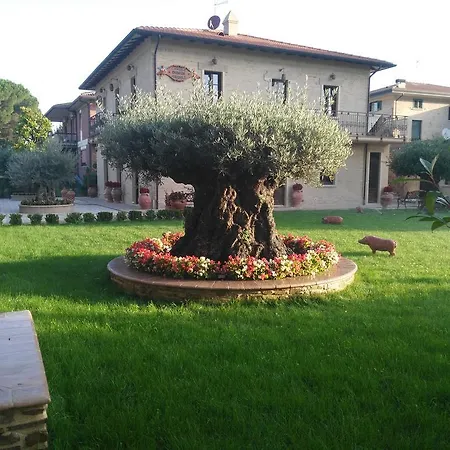 Domus Angeli Assisi