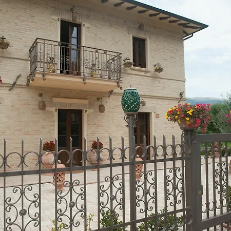 Domus Angeli *